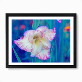 Irises Art Print