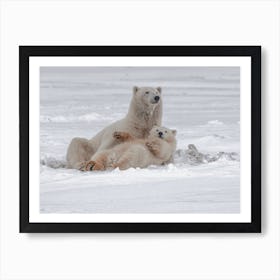 Mama And Baby Polar Bear Art Print