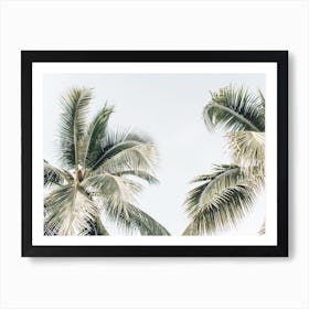 Two Green Palms Art Print