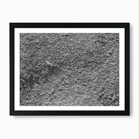 Cotton Seed, Cotton Seed Hulls And Dry Pads Of Cotton Waste In Gin Yard, West, Texas By Russell Lee Art Print