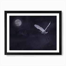 White Egret at Night Art Print