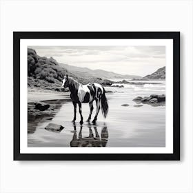 A Horse Oil Painting In Boulders Beach, South Africa, Landscape 4 Art Print