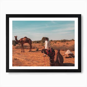 The Boy And His Camels Art Print