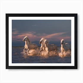 Angels Of Camargue Art Print