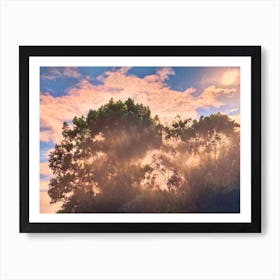 Misty Summer's Morning Art Print