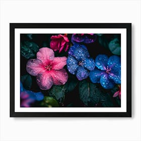 Flowers In The Rain Art Print