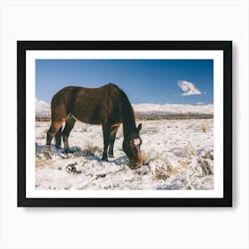 Unitltled 21 - Snow in the Vineyard Series Art Print