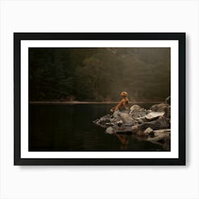 Cocker Spaniel Puppy Standing On Rocks By The Lake- Scotland Highland UK dog photo print - moody animal photography Art Print