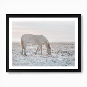 Horse In Winter Field Art Print