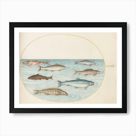 Aquatic And Shellfish Animals, Joris Hoefnagel (7) Art Print