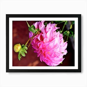 Pink Flower 1 Art Print