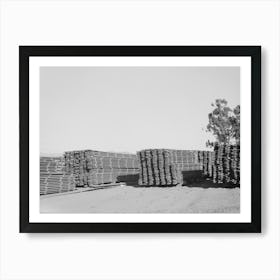 Salinas, California, Stacks Of Duckboards For The Guayule Nursery By Russell Lee Art Print