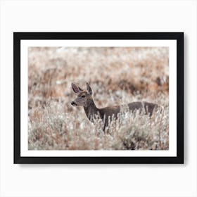 Deer In High Grass Art Print