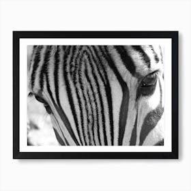 Zebra Eyes Art Print