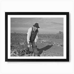 Mexican Sugar Beet Worker, Near Fisher, Minnesota By Russell Lee Art Print