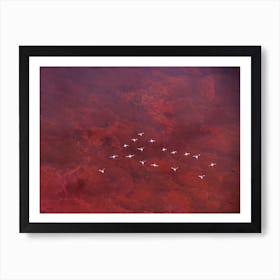 Red Land Art Print