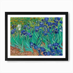 Vincent Van Gogh's Irises Art Print