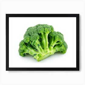 Broccoli On White Background 1 Art Print