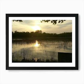 Sunrise Over A Pond Art Print