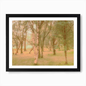 Dartmoor mist Art Print