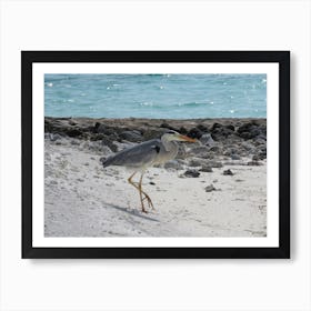 Heron On The Beach 4 Art Print