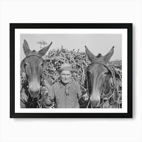 Untitled Photo, Possibly Related To Sugarcane Farmer Near Delcambre, Louisiana By Russell Lee Art Print