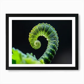 Fern Macro Art Print