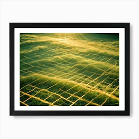 Protective Yellow Plastic Mesh Covering Fresh Green Grass With Bright Sun Shining Down Art Print