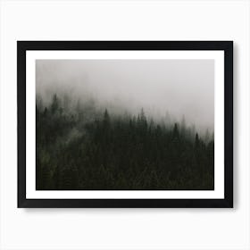 Follow The Fog Art Print