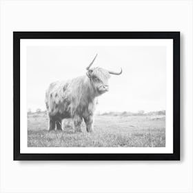 Bull Cow Art Print