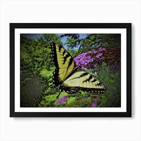 Swallowtail Butterfly Art Print