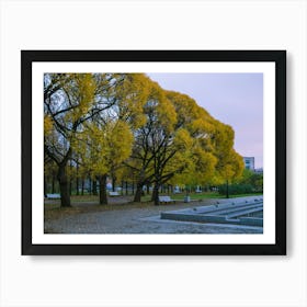 Autumn Trees In The Park Art Print