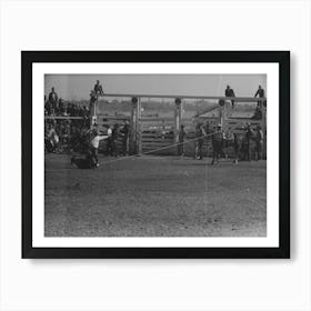 Untitled Photo, Possibly Related To Cowboy Dismounting To Throw And Tie A Calf Which He Roped From His Horse Art Print