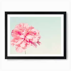 Peony Art Print