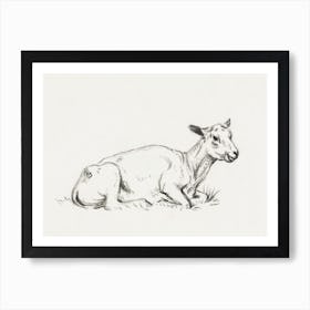 Lying Shaved Sheep, Jean Bernard Art Print