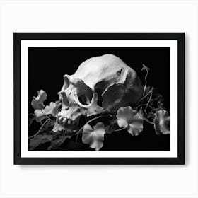 Skull And Flowers 2 Art Print