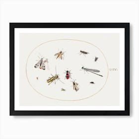 Eleven Insects, Including A Dragonfly And Longhorn Beetle (1575–1580), Joris Hoefnagel Art Print