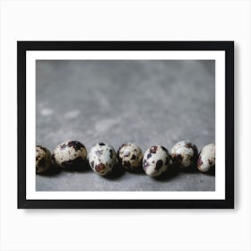 Quail Eggs 12 Art Print