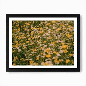 Summer Dreamin' Art Print