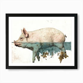 Pig In Water Art Print