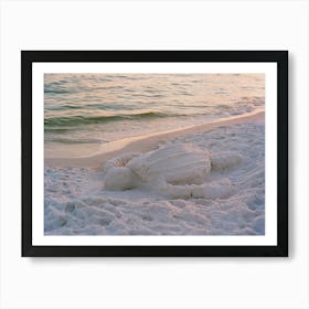 Beach Turtle on Film Art Print