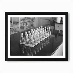 Erlenmeyer Flasks Full Of Liquid And Wood Samples, Forest Products Laboratory, Madison, Wisconsin By Russell Lee Art Print