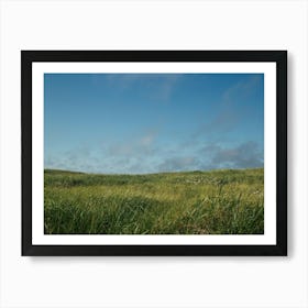 Grassy Field Art Print