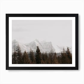 Forest Mountain View Art Print