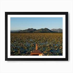 Lilly Lake With Mountain Views Art Print