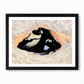 Penguins In A Hole (Africa Series) Art Print