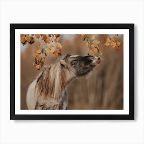 Autumn Horse Art Print