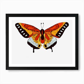 Butterfly Art Print