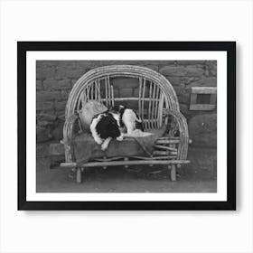 Dog On Settee In Front Of Farmhouse, Concho, Arizona By Russell Lee Art Print