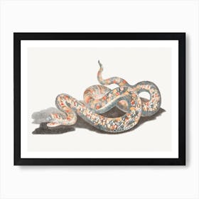 A Snake, Johan Teyler Art Print